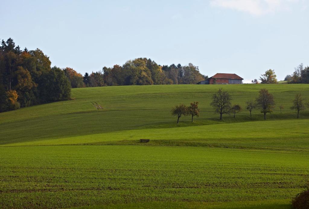 Pension Jageredt Nussbach Esterno foto